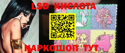 шишки Бийск