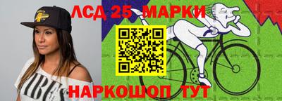 шишки Бийск