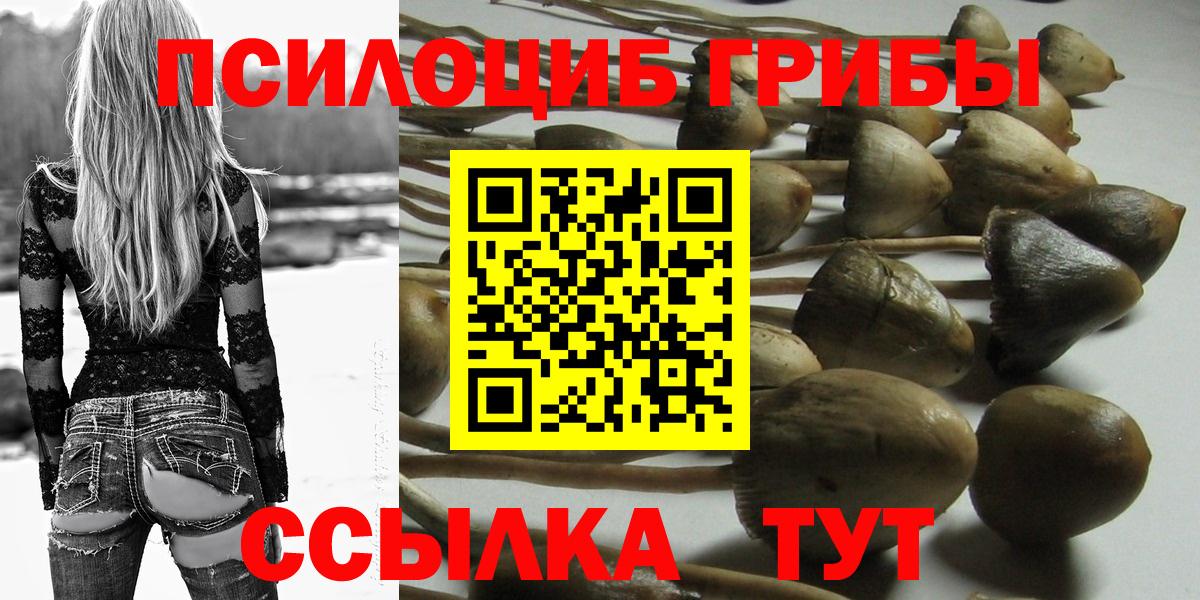 Галлюциногенные грибы Cubensis Кашира