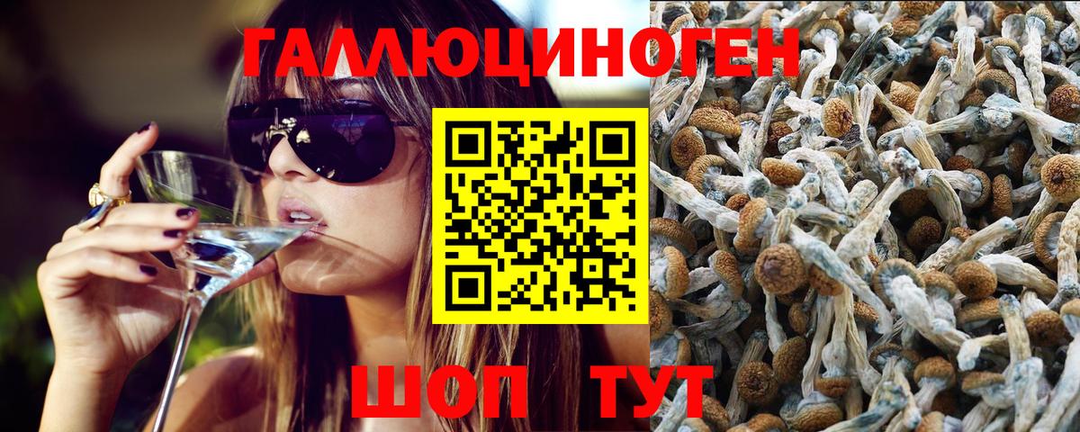 Кашира  Галлюциногенные грибы Cubensis  Галлюциногенные грибы MAGIC MUSHROOMS  цены наркотик  Вход с VPN 